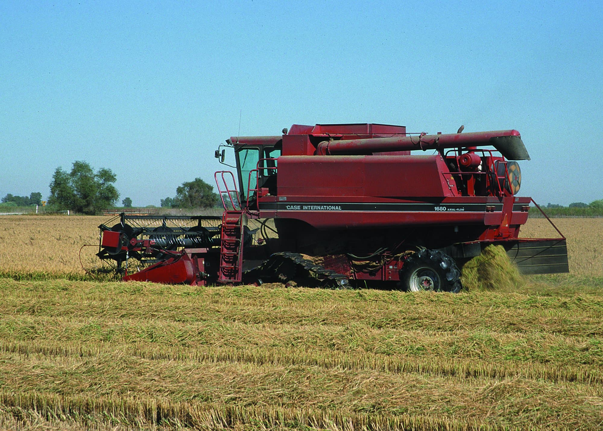 A red combine harvesting golden rice in a flat Northern California field under a clear sky