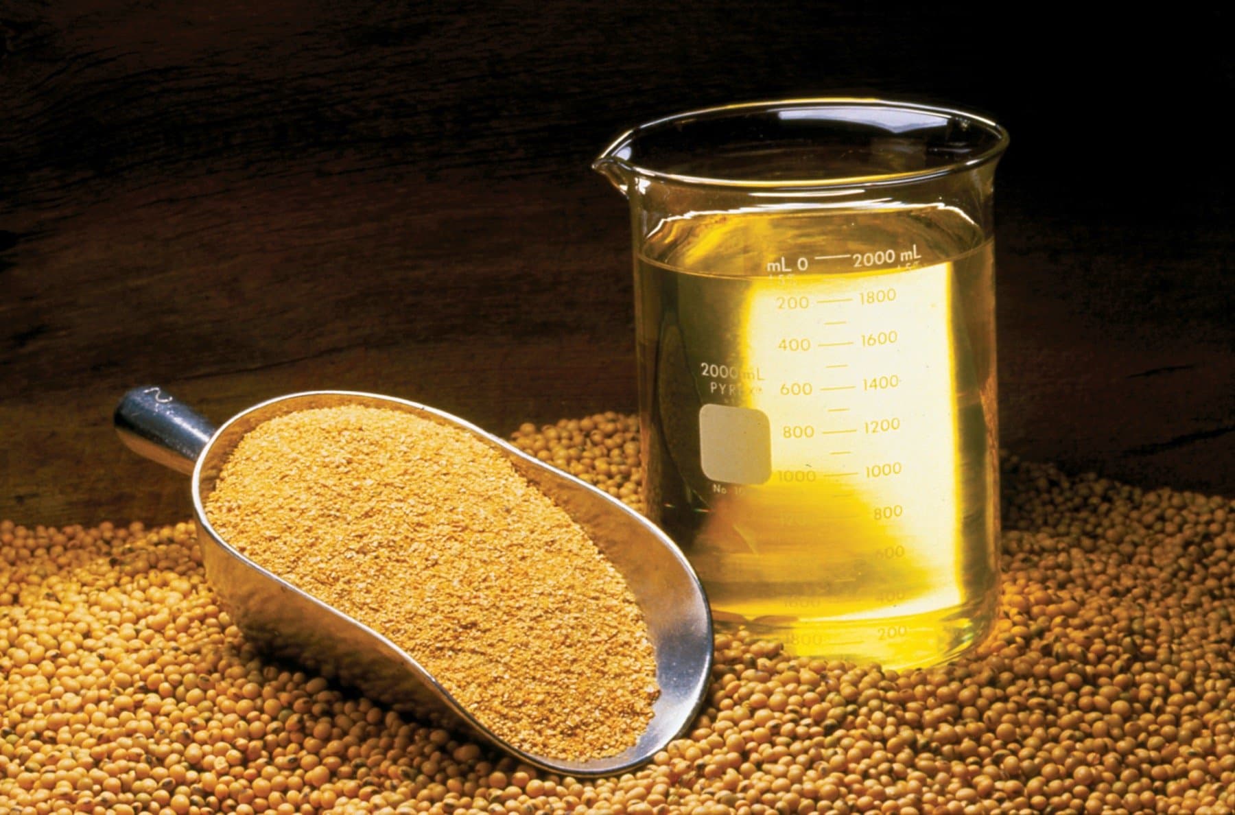 Glass beaker of golden soybean oil and a scoop of soybean meal on a bed of whole soybeans